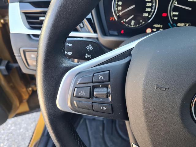 BMW X2 xDrive 20 i Advantage Plus 20i AdvantagePlus NaviPlus HeadUp RFK 