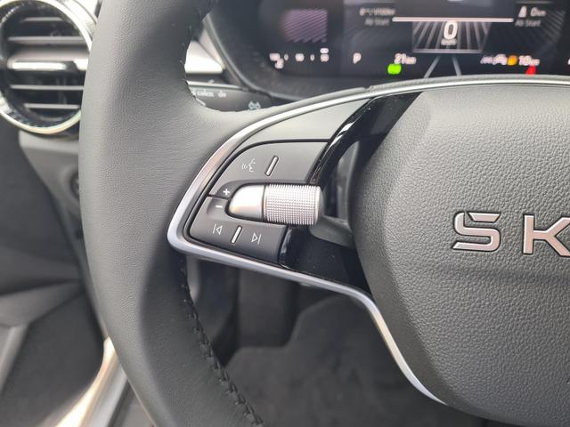 Skoda Fabia Selection 1.0 TSI DSG LED DAB PDC Lane 