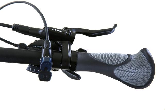 TOTEM E-Bike MAURICE Rahmengröße 21 Zoll / 53,3 cm Hardtail E-Mountainbike 