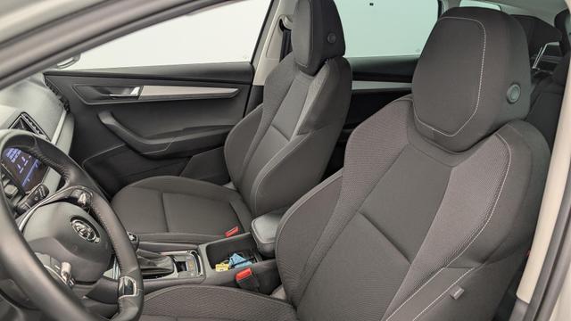 Skoda Karoq 2.0 TDI 116 ch SCR DSG7 Business 