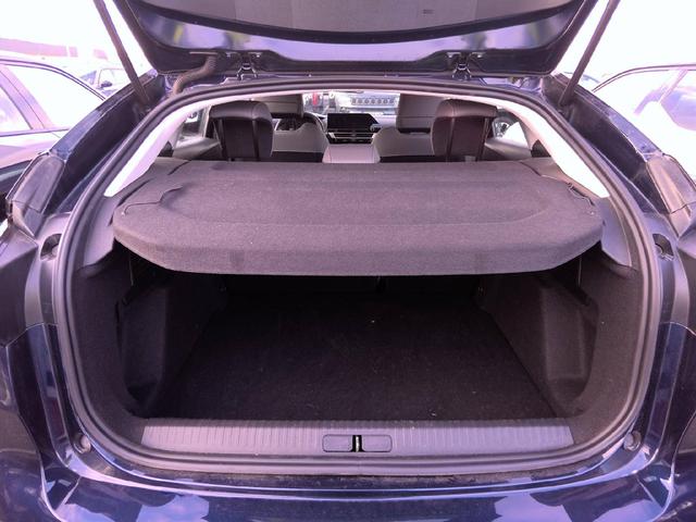 Citro&euml;n C4 Aircross PLUS 