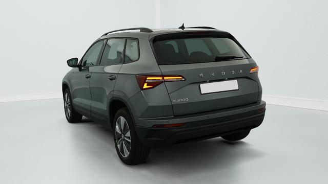 Skoda Karoq 2.0 TDI 116 ch SCR DSG7 Business 