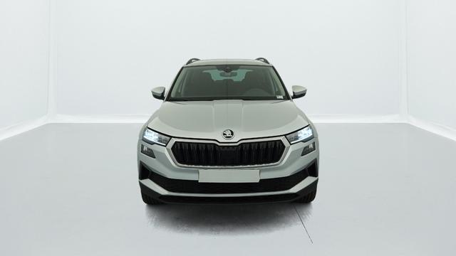 Skoda Karoq 2.0 TDI 116 ch SCR DSG7 Business 