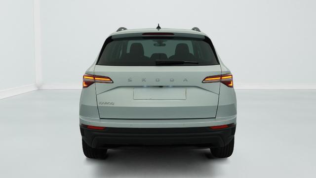 Skoda Karoq 2.0 TDI 116 ch SCR DSG7 Business 