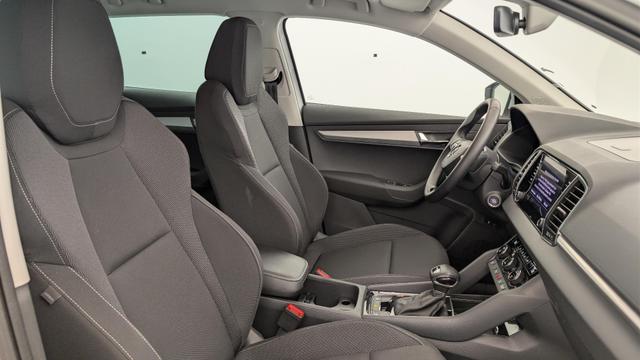 Skoda Karoq 2.0 TDI 116 ch SCR DSG7 Business 
