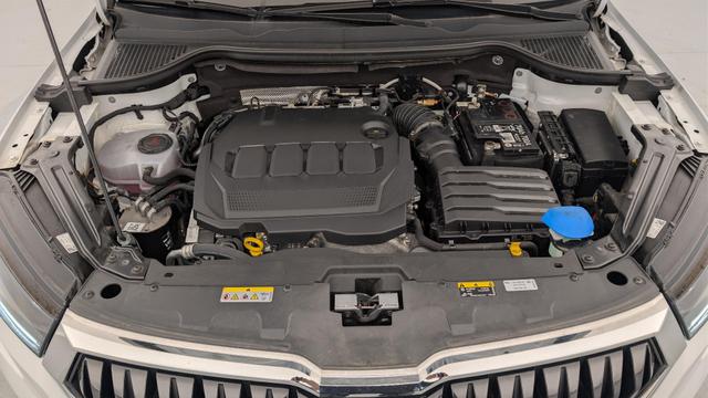 Skoda Karoq 2.0 TDI 116 ch SCR DSG7 Business 