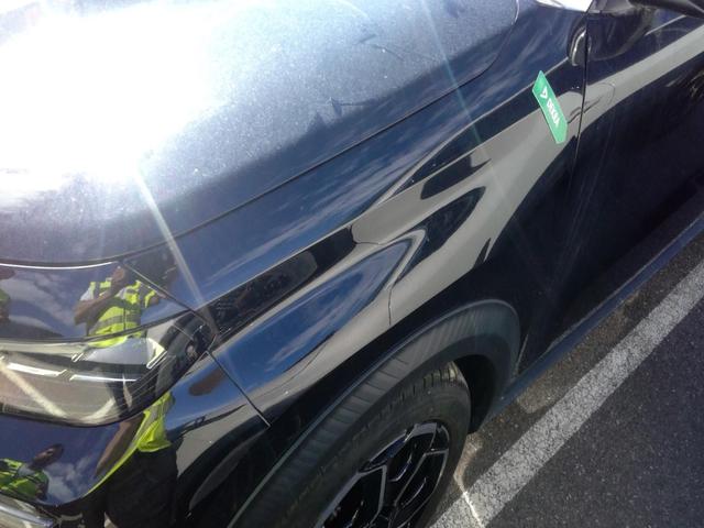 Citro&euml;n C3 MAX 