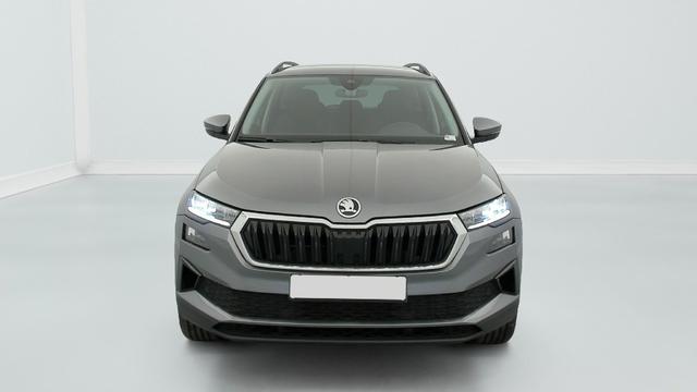 Skoda Karoq 2.0 TDI 116 ch SCR DSG7 Business 