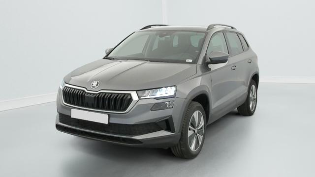 Skoda Karoq 2.0 TDI 116 ch SCR DSG7 Business 