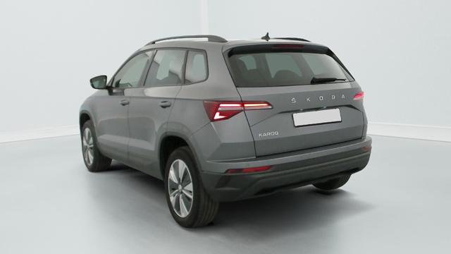 Skoda Karoq 2.0 TDI 116 ch SCR DSG7 Business 
