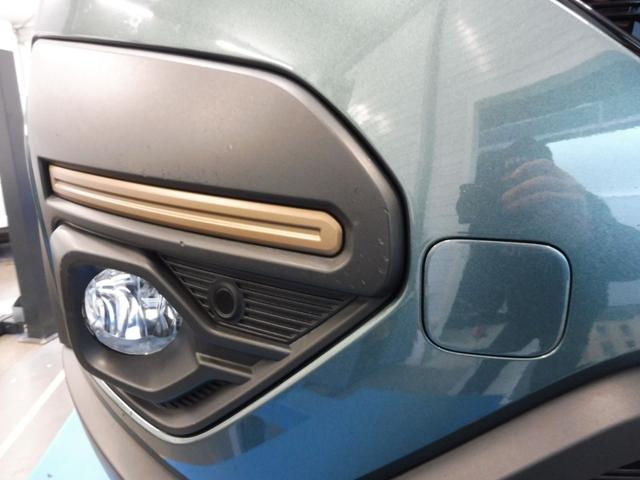Dacia Sandero Stepway Extreme+ 