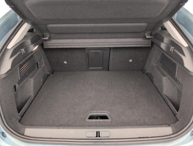 Citro&euml;n C4 Shine 