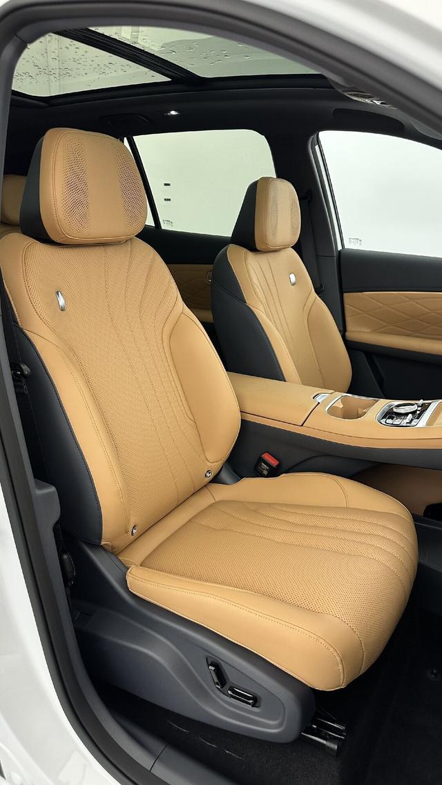 Geely Starray EM-i Max+ 