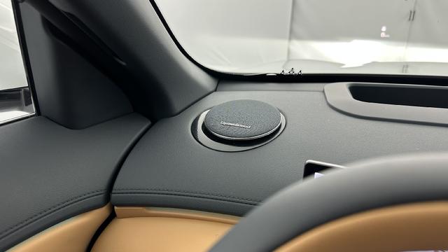 Geely Starray EM-i Max+ 