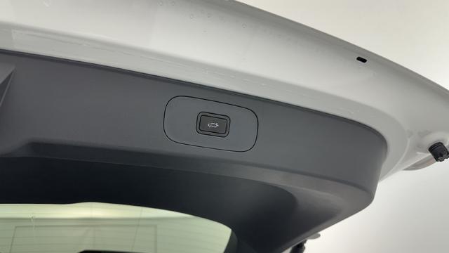 Geely Starray EM-i Max+ 