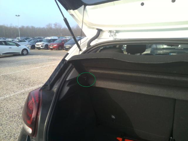 Citro&euml;n C3 Shine 