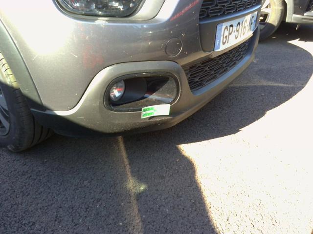 Citro&euml;n C3 Shine 