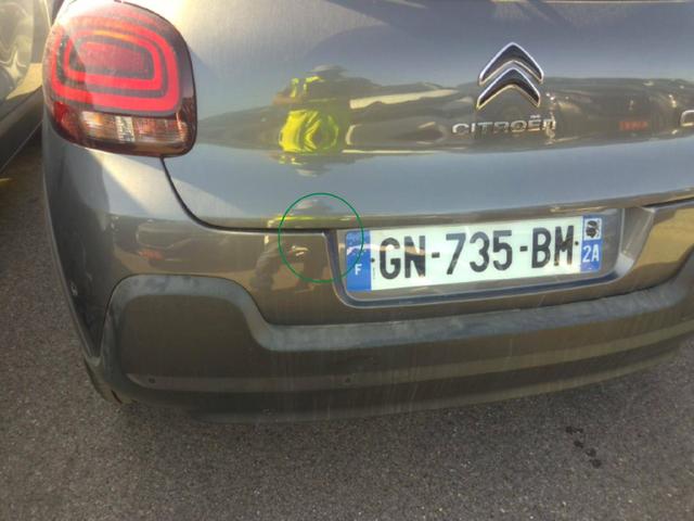 Citro&euml;n C3 Shine 