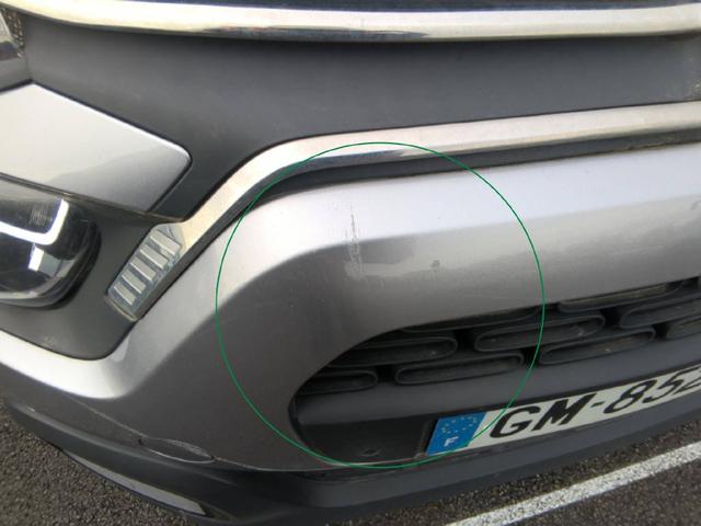 Citro&euml;n C3 Shine 