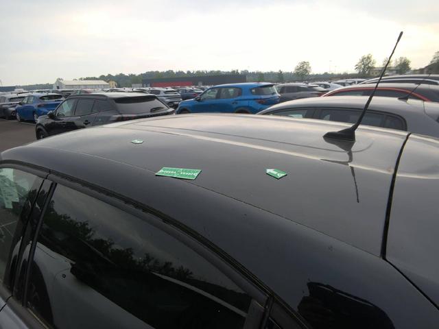 Citro&euml;n C3 Shine 