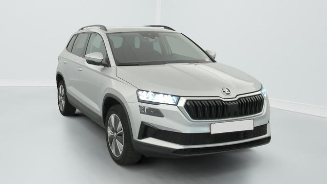 Skoda Karoq - Business