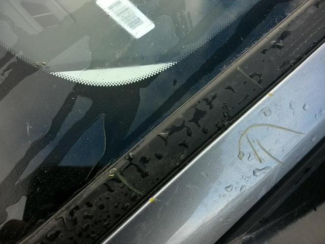Peugeot 308 SW Style 