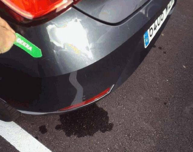 Seat Leon Style 1.5 Essence 116hp 