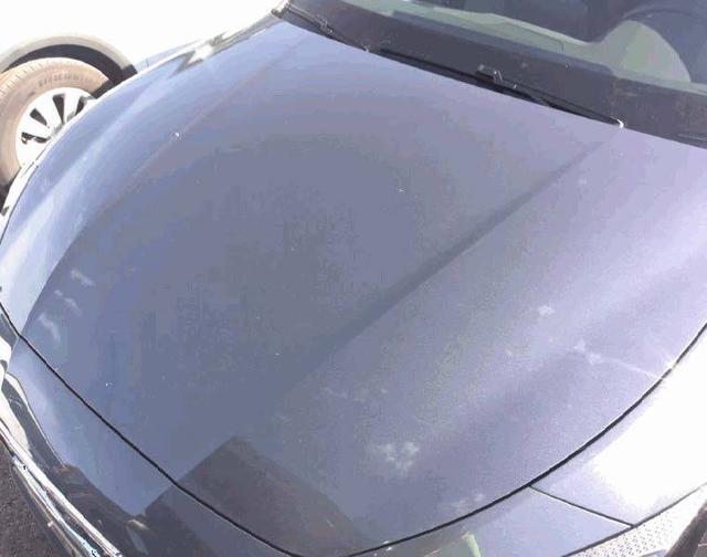 Seat Leon Style 1.5 Micro hybride Essence/Electrique 116hp 