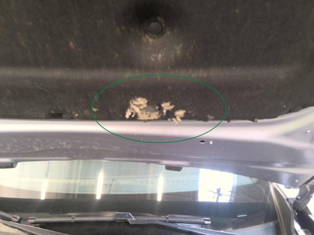 Peugeot 2008 Style 1.2 Essence 102hp BVM6 