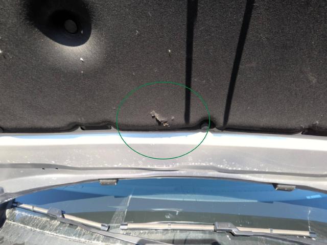 Peugeot 208 Allure 1.2L 100hp S&S (BVM6 manual) 