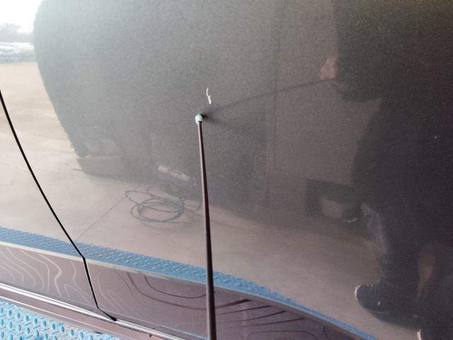 Dacia Sandero Stepway Extreme+ 1.0L TCe 110 