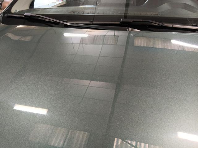 Dacia Sandero Stepway Extreme+ 1.0L TCe 110 