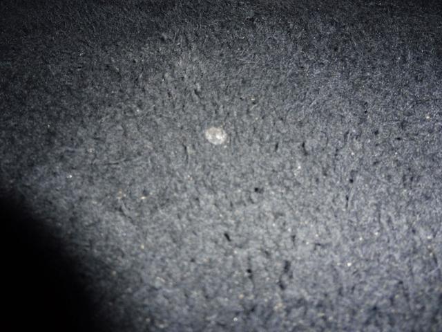 Seat Ibiza FR 1.0L TSI (110 hp) 