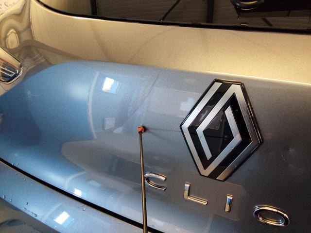 Renault Clio Evolution 1.5L Blue dCi 100 