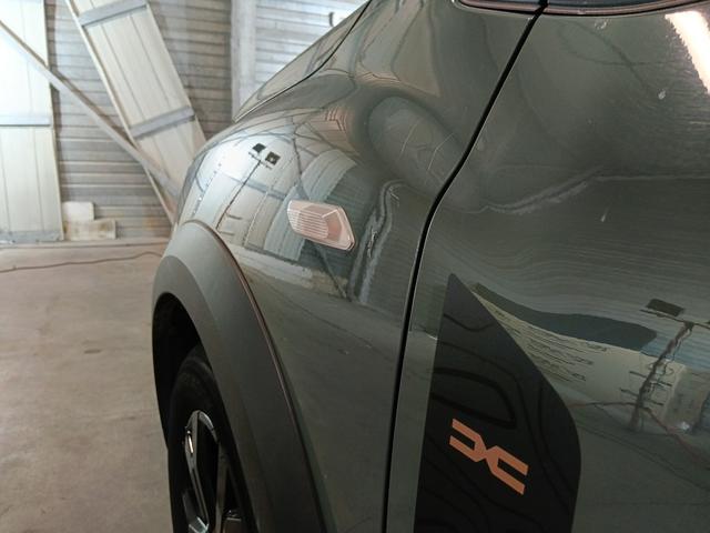 Dacia Sandero Stepway Extreme+ 1.0 TCe 110 