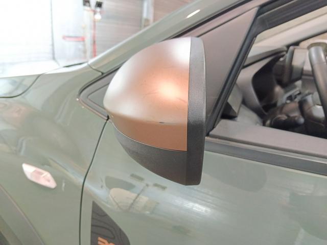 Dacia Sandero Stepway Extreme+ 1.0 TCe 110 