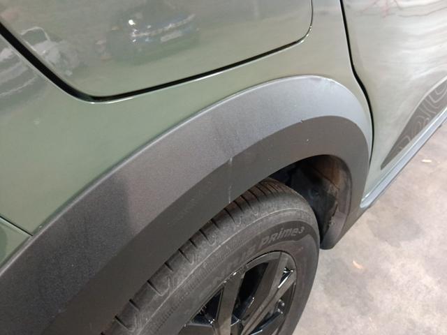 Dacia Sandero Stepway Extreme+ 1.0 TCe 110 