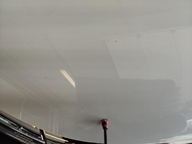 Citro&euml;n C3 MAX 1.2L PureTech 83 hp (S&S) 