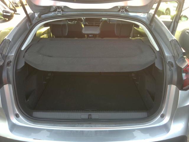 Citro&euml;n C4 Max 1.2L PureTech 130 (EAT8) 