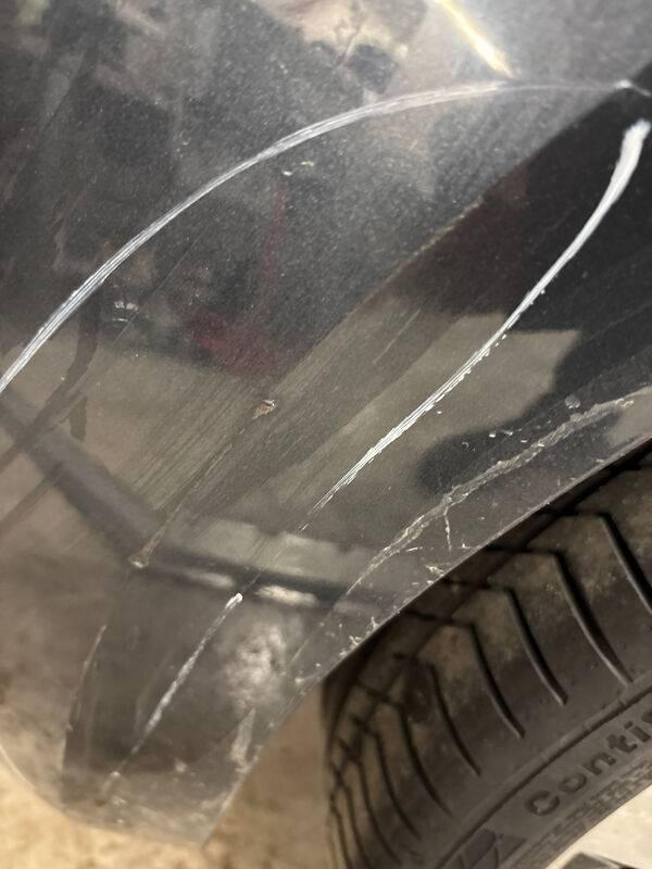 Seat Ibiza FR 1.0L TSI Turbo 115 hp S/S (DSG7) 