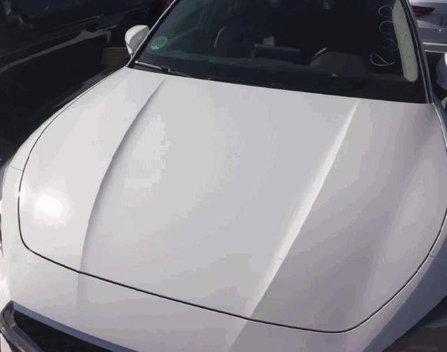 Seat Leon Style 1.5 TSI 115 (BVM6) 