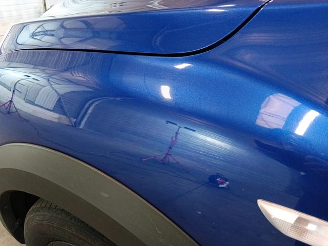 Dacia Sandero Stepway Extreme+ 1.0L TCe 110 