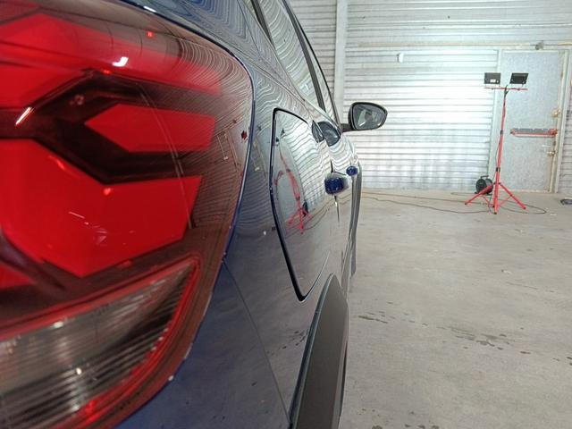 Dacia Sandero Stepway Extreme+ 1.0L TCe 110 