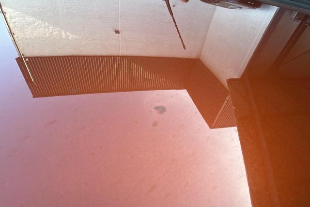 Citro&euml;n &euml;-C4 A 