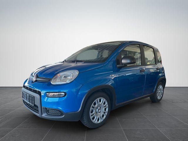 Fiat Panda - Pandina Cross Hybrid 1.0/PDC H/