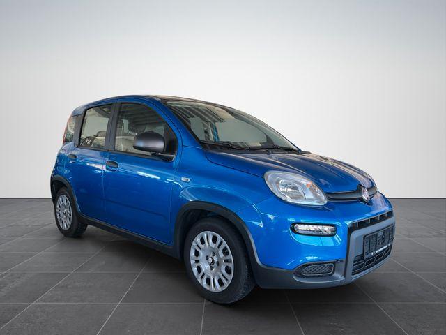 Fiat Panda Pandina Cross Hybrid 1.0/PDC H/ 