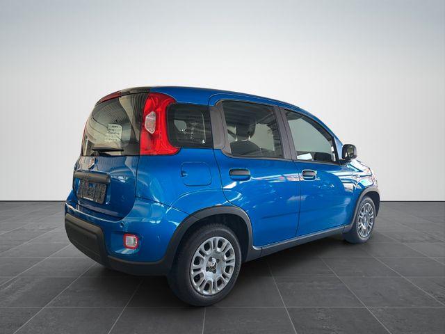 Fiat Panda Pandina Cross Hybrid 1.0/PDC H/ 