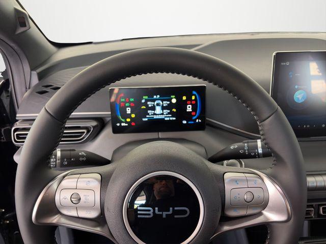 BYD Dolphin SURF Boost /ACC/LEDER/RFK/SHZ/NAV/ 