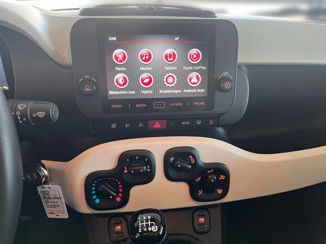 Fiat Panda Pandina Cross Hybrid 1.0/PDC H/ 7" BildS/PDC 