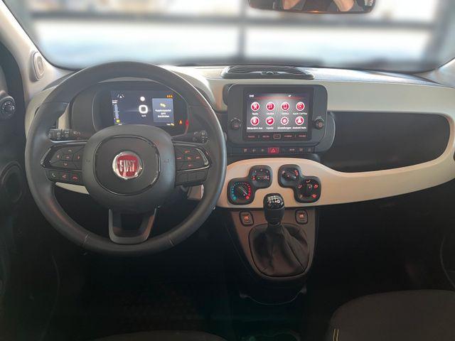 Fiat Panda Pandina Cross Hybrid 1.0/PDC H/ 7" BildS/PDC 